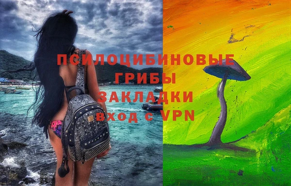 соль ск Алзамай